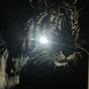 Meet your Posher, Vicky